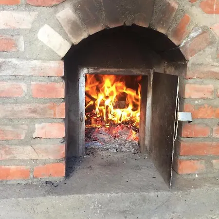 Snow Garden * Kopaonik