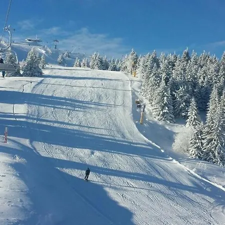 Snow Garden Lejlighed