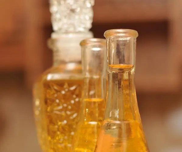 Apartment Snow Garden