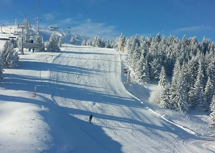 Snow Garden Apartment